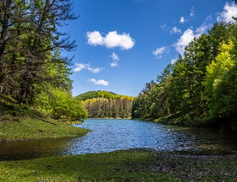 Domikoko presa