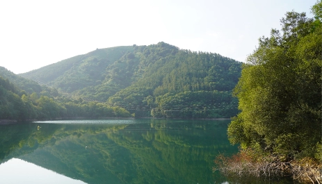 Behe-Iparragirre
