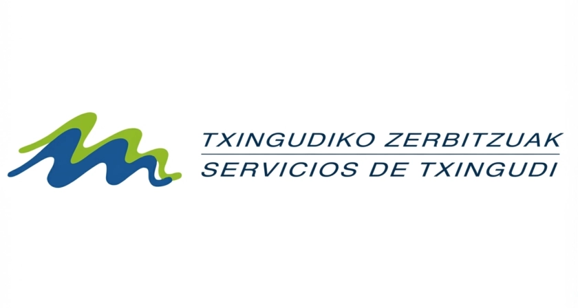 Txingudiko Zerbitzuen logoaren erabilera-arauak